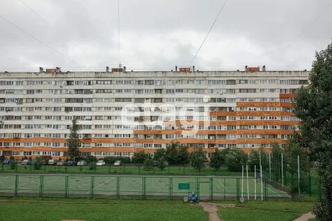 Квартира партизана германа снять