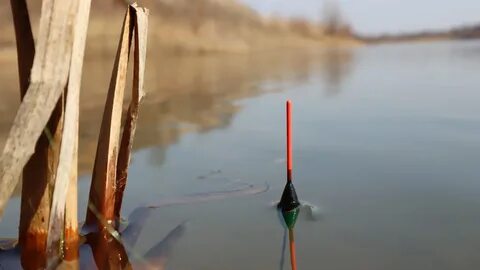 При какой температуре начинает клевать карась