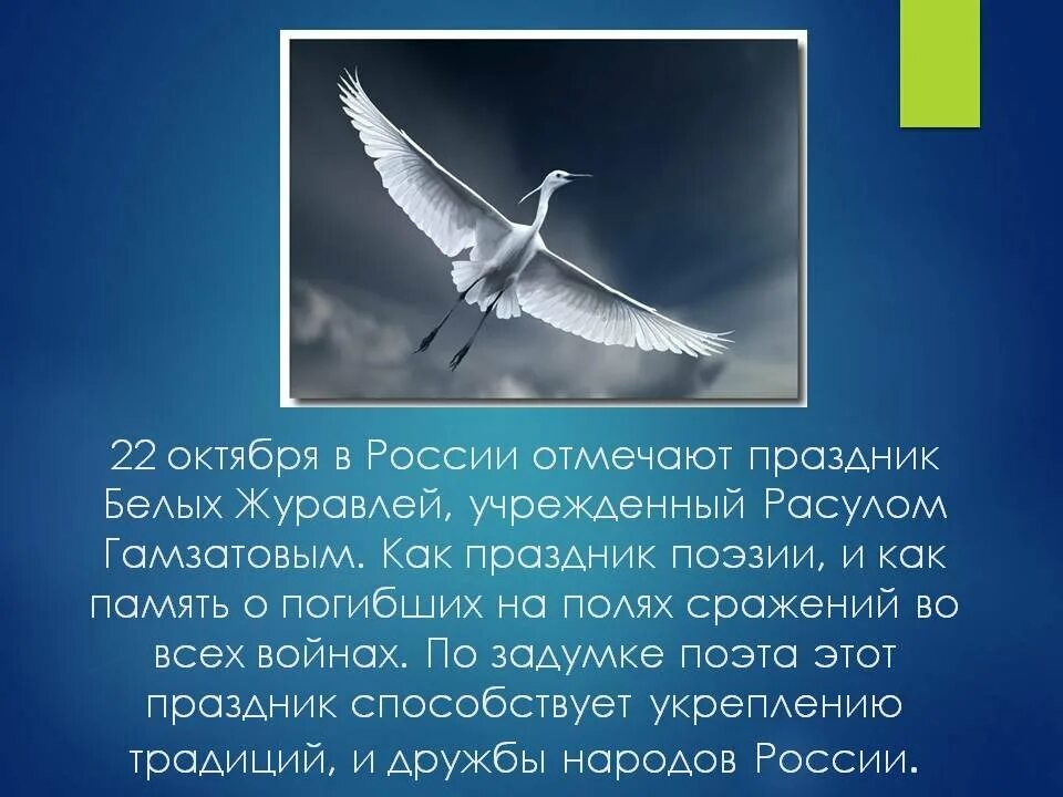 Журавли стихотворение гамзатова слушать. Белые Журавли Расула Гамзатова.