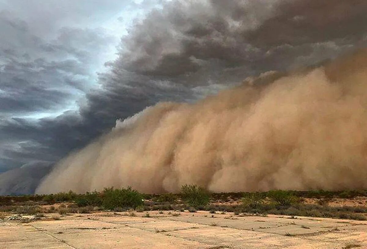 Самум Песчаная буря. Ауг Песчаная буря. Самум в Африке. Песчаная буря в пустыне. Ветер гонящий пыль