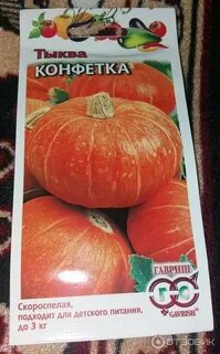 Тыква конфетка описание