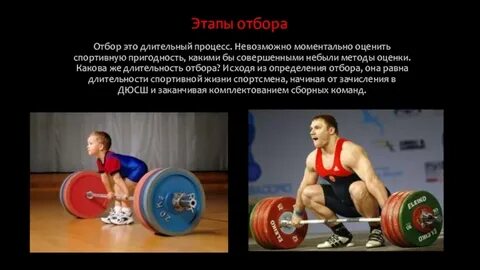 Перечислить этапы спортивной