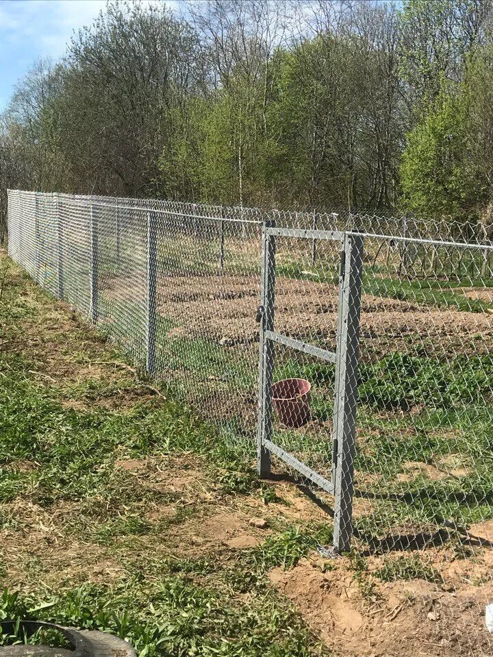 Забор из рабицы. Ограда из сетки. Забор в огород сетка рабица. Секционный забор из сетки рабицы.
