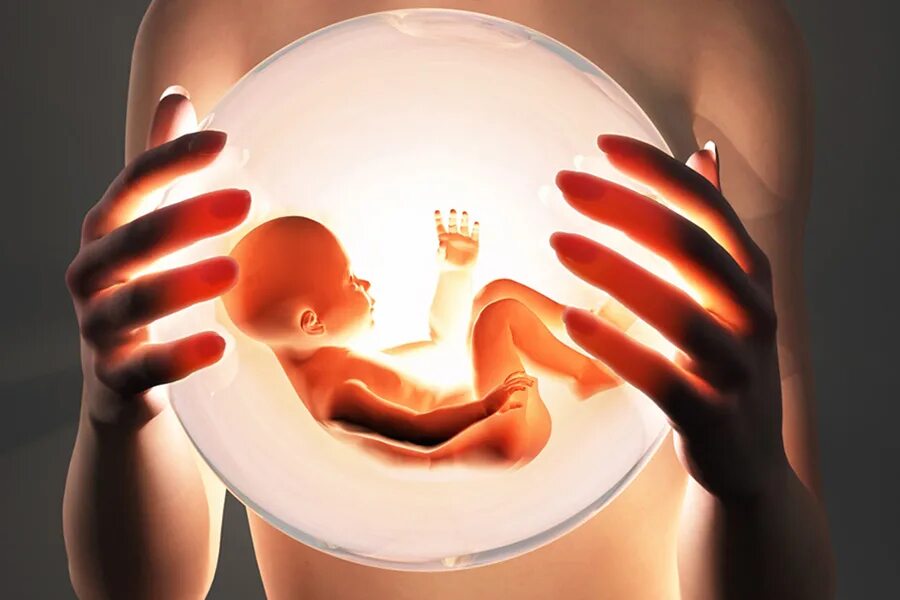 Эко беременность. Плод ребенка. Эко экстракорпоральное оплодотворение. Репродуктивное здоровье женщины.