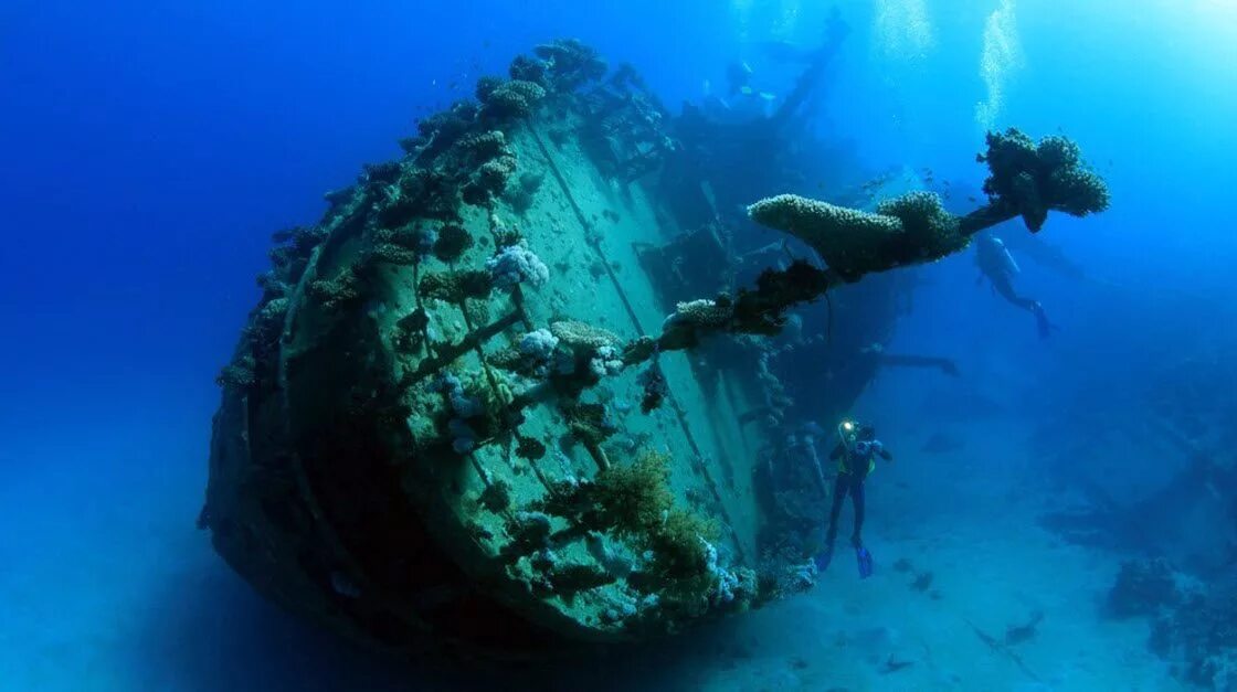Стена на дне океана. Корабль Giannis d, красное море. Саргассово море дайвинг. Затонувший корабль Монте Сервантес. Затонувший корабль Шарм-Эль-Шейх.