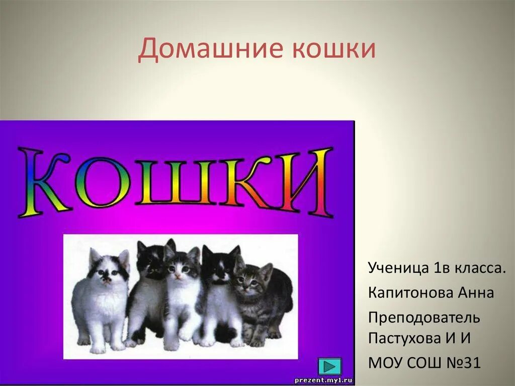 Презентация на тему домашние кошки. Презентация о домашней кошке. Домашние животные презентация домашние кошки. Проект кошки презентация. Проект про кошку 1 класс окружающий мир