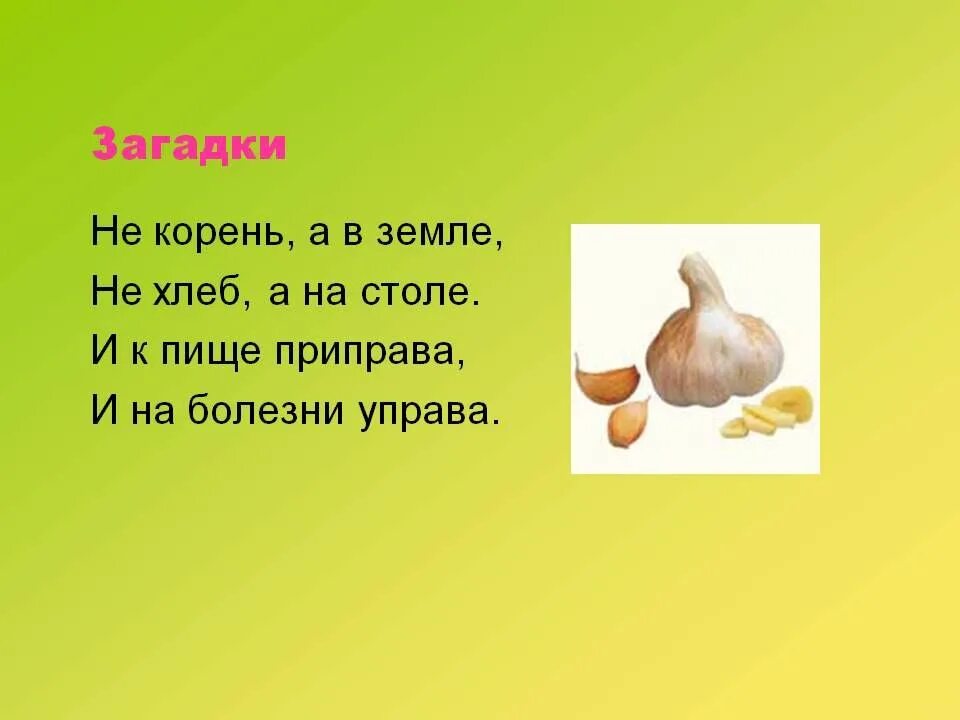 Загадка пересорт фото и описание Загадка лежал