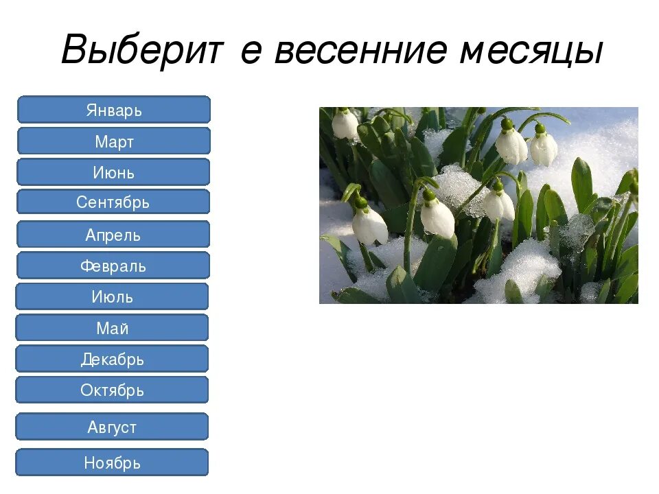 Апрель какой месяц весны. Весенние месяцы. Весенние месяцы по порядку. Название весенних месяцев. Какие месяца весной.