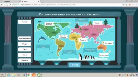 Рассели животных по природным зонам соединив