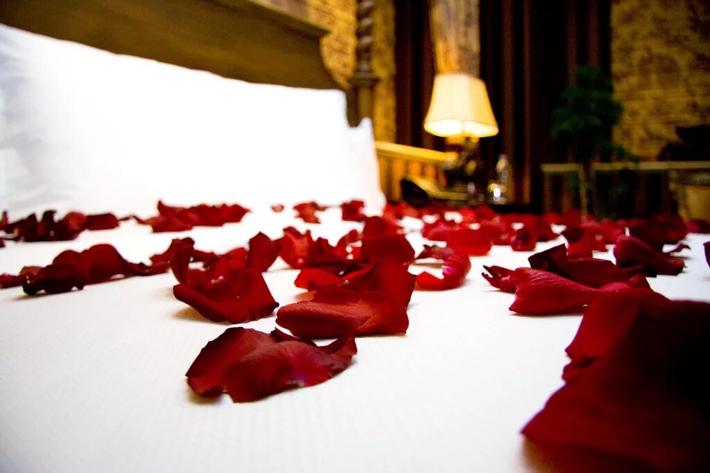 Почему лепестки роз. Лепестки роз. Лепестки роз на постели. Кровать усыпанная лепестками роз. Кровать с лепестками роз и свечами.