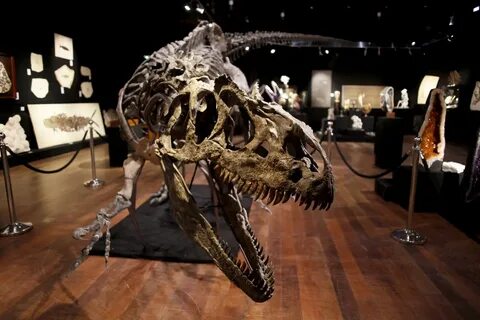 The Top Ten Dinosaur Discoveries of 2020 RealClearScience.