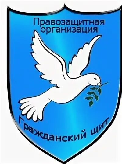 Некоммерческую правозащитную организацию