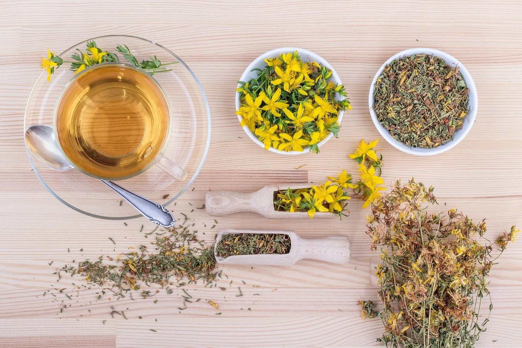 Аптекарский огород пряные травы. Целебные травы. Лекарственные травы. Чай из трав. Травы полезные легким.