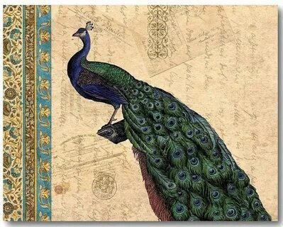 Павлин поддайся искушению