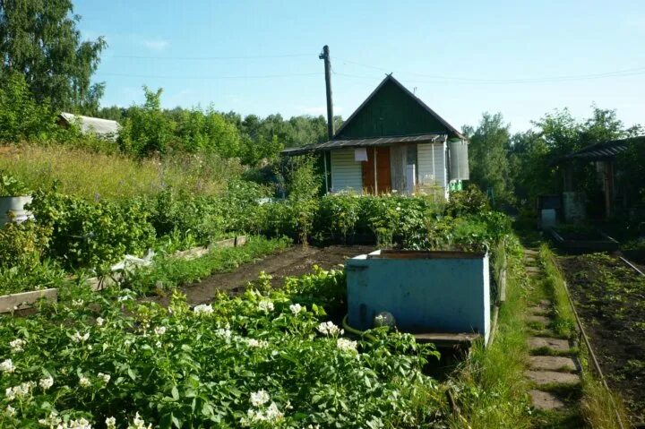 Снт свой дом красноярск. Быковские дачи красноярск фото. Снт сады красноярск. Дача ветлужанка 50 красноярск. Сплавщик красноярск снт ул.