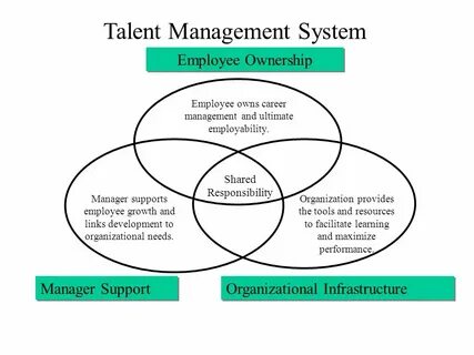Talent перевод