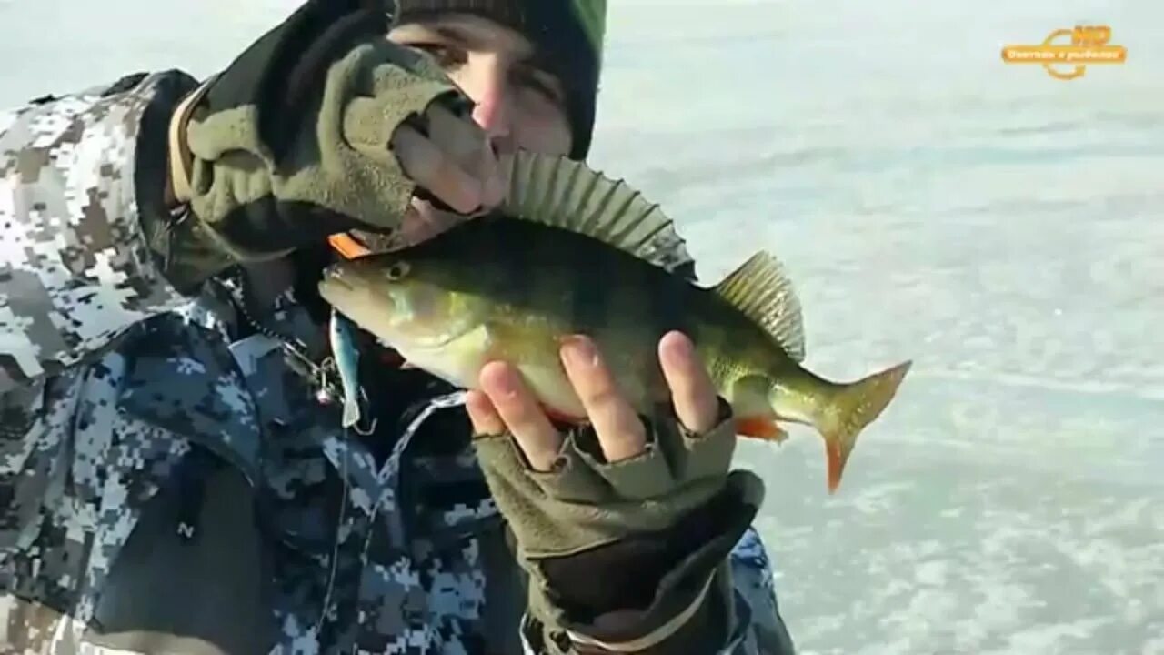 Рыбалка в курганской области. Озеро Орлово рыба. Уловистые места на озере Иван Чита зимой. Озеро Орлово Хакасия рыбалка. Озеро Орлово Курган рыбалка.