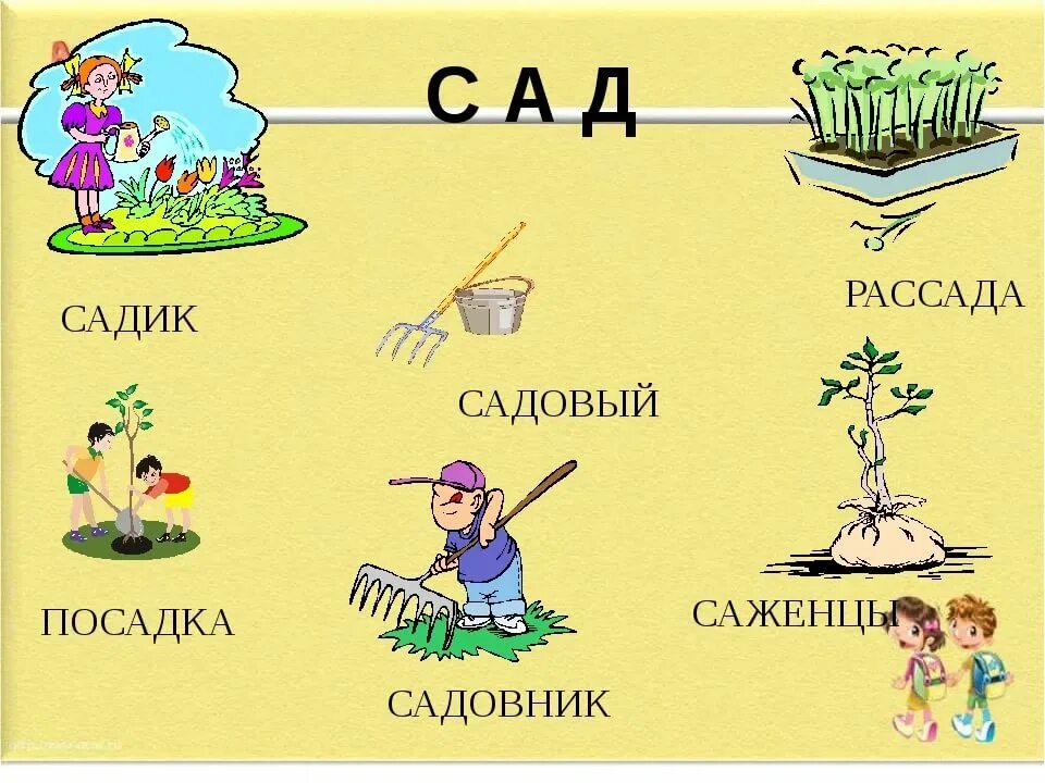 Другое значение слова сад. Картинка сад садовник рассада. Профессия садовник для детей. Профессия садовник презентация для детей. Садовник профессия карточка.