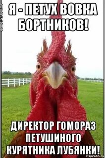 Но нигде не
