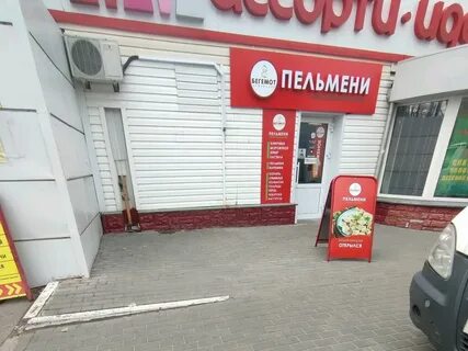 Бегемот воронеж