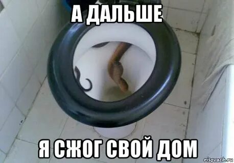 Едим дома мем