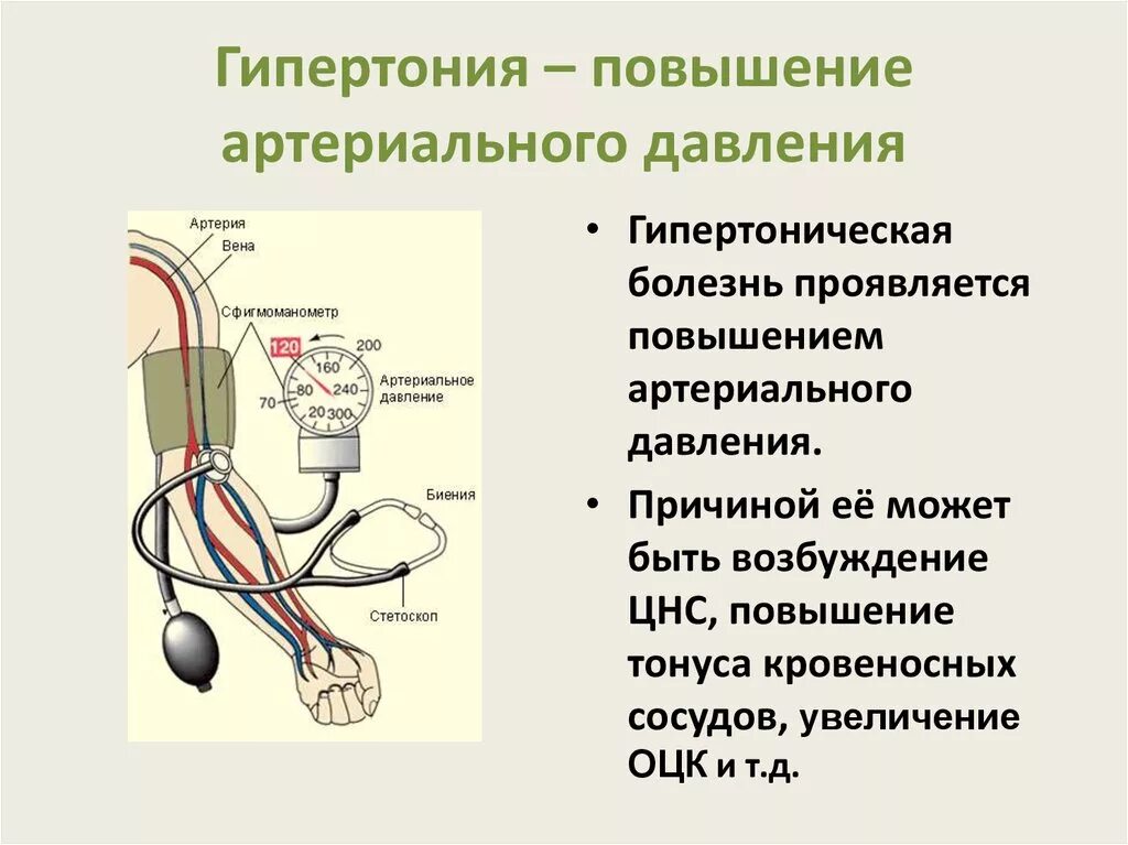 Почему повышен верхнее давление. Высокое кровяное давление. Регуляция артериального давления. При повышении артериального давления. Причины повышения и понижения артериального давления.