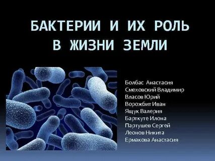 Бактерии изменяются в