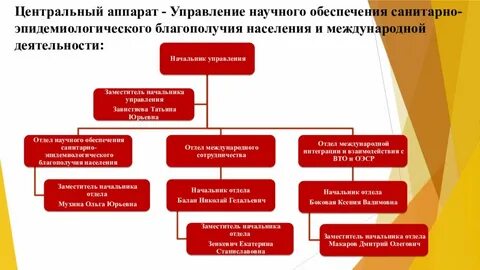 Какие мероприятия обеспечивают санитарно эпидемическое благополучие