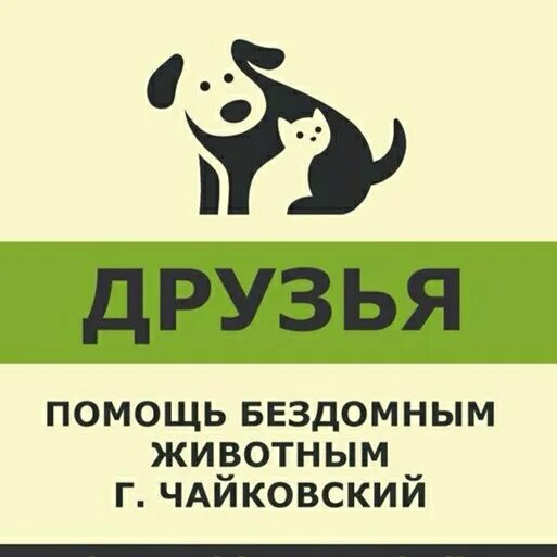 Волонтерские группы помощи животным. Помощь животным. Группы помощи бездомным животным. Волонтерская группа помощи животным. Группа помощи бездомным.