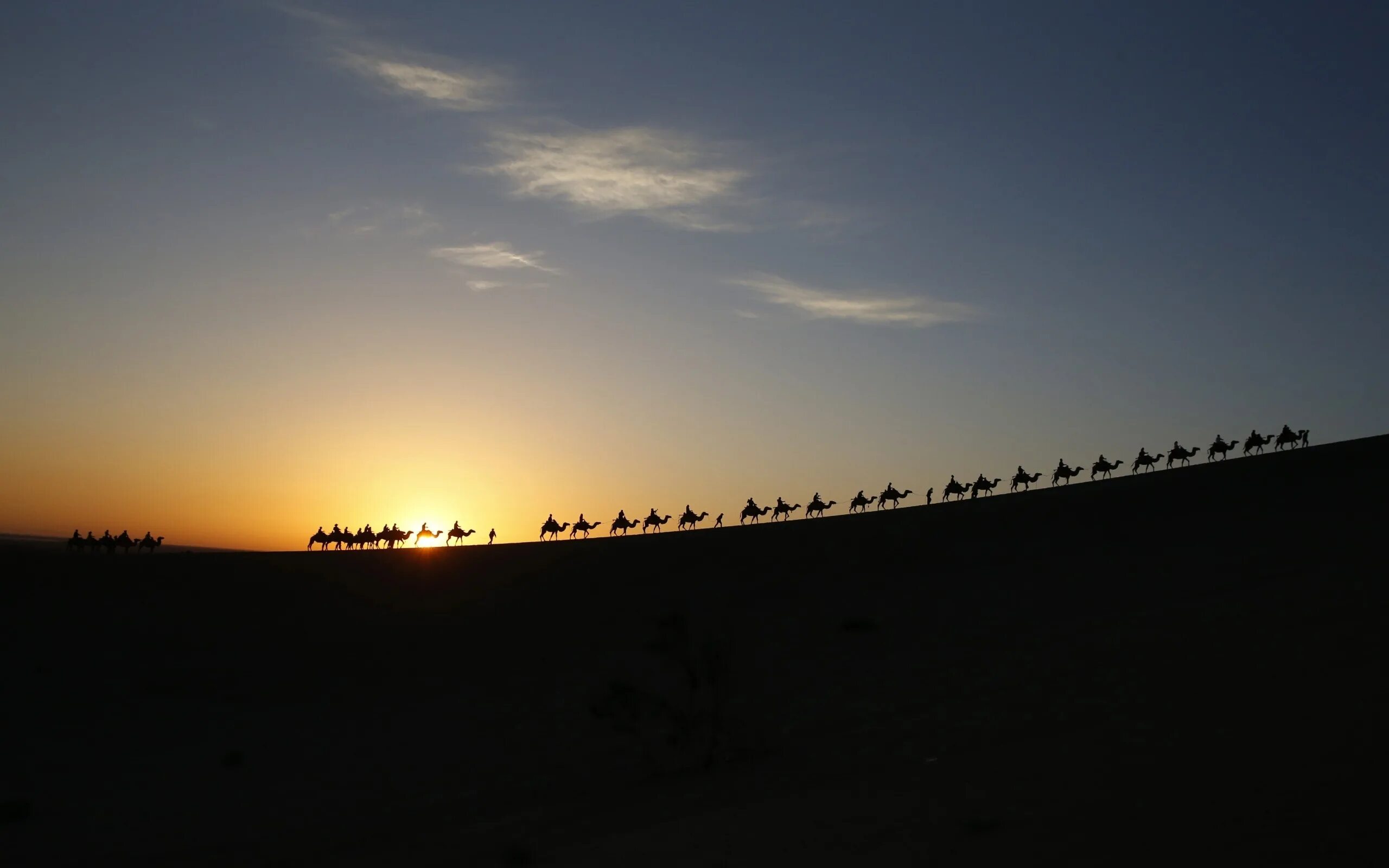 Караван верблюдов в пустыне. Рассвет в пустыне. Закат в пустыне. Пустыня ночью. Караван ночью на глазах