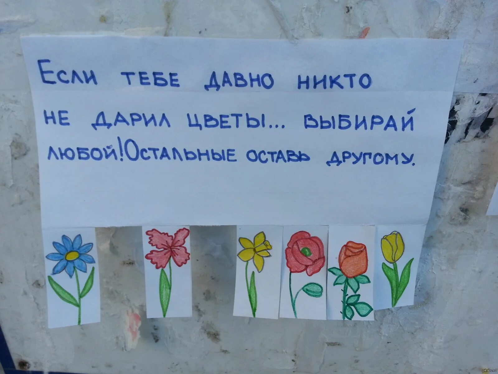 Никогда никому не дарят. Тебе давно не дарили цветы. Давно не дарили цветы объявления. Если тебе давно не дарили цветы. Мне давно не дарят цветочки.