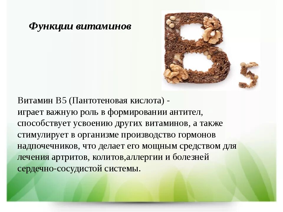 В5 для чего нужен организму. Витамин б5 функции. Витамин b5 пантотеновая кислота. Витамин в5 функции в организме человека. Витамин b5 пантотеновая кислота биороль.