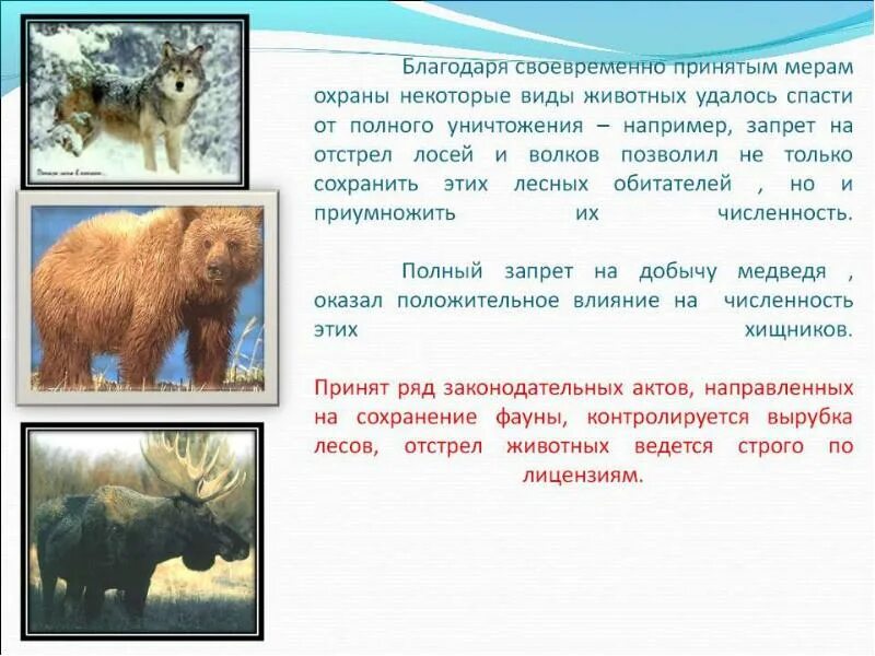 Меры по охране животных. Экология животных презентация. сведения об охране животных. сообщение об охране животных. информация об охраняемых животных.