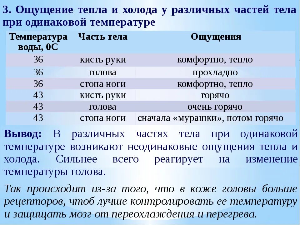 Ощущается как тепло. Какие ощущения при разной температуре тела. Температура в разных частях тела. Какую температуру чувствует рука. Ощущение тепла и холода.