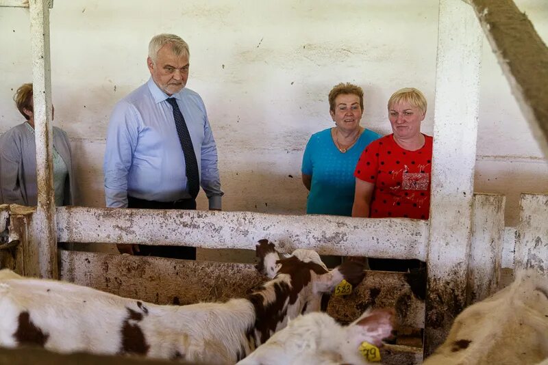 Спк это. Спк исток корткеросский район. спк исток республика коми. надежда макарова спк исток. главу корткероса.