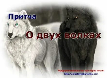 В согласном стаде волк не страшен