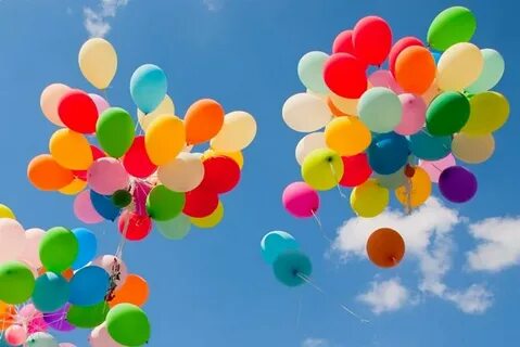Фирма 4 лета