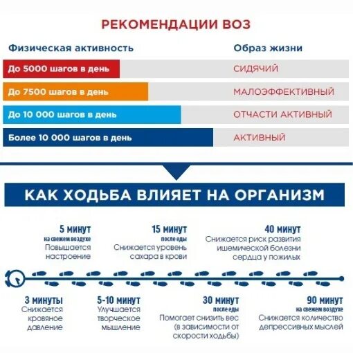 А также уровня активности и. Рекомендации по физ активности воз. Уровни физической активности по воз. Рекомендации воз. Физическая активность рекомендации воз.