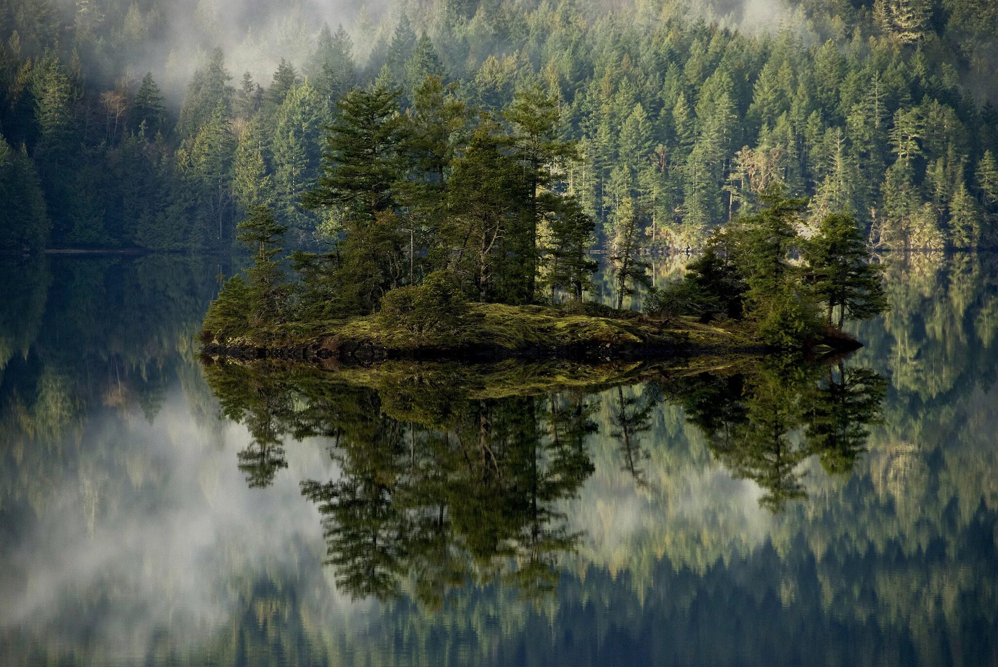 Фулл в лесу. Шварцвальд озеро. Лесное озеро (Forest Lake). Скандинавия лес Шварцвальд. Озеро Вонг Карелия.