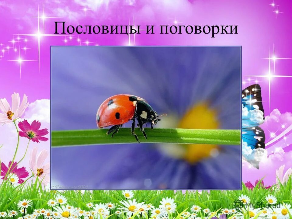 фон для презентации краски и кисти. кисти и краски. краски и звуки лета. краски и звуки лета. цветы кисти краски.