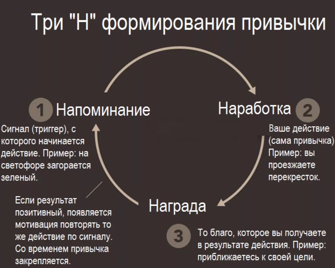 Этапы формирования привычки. Формирование полезных привычек. Механизм формирования привычки. Стадии формирования привычки.