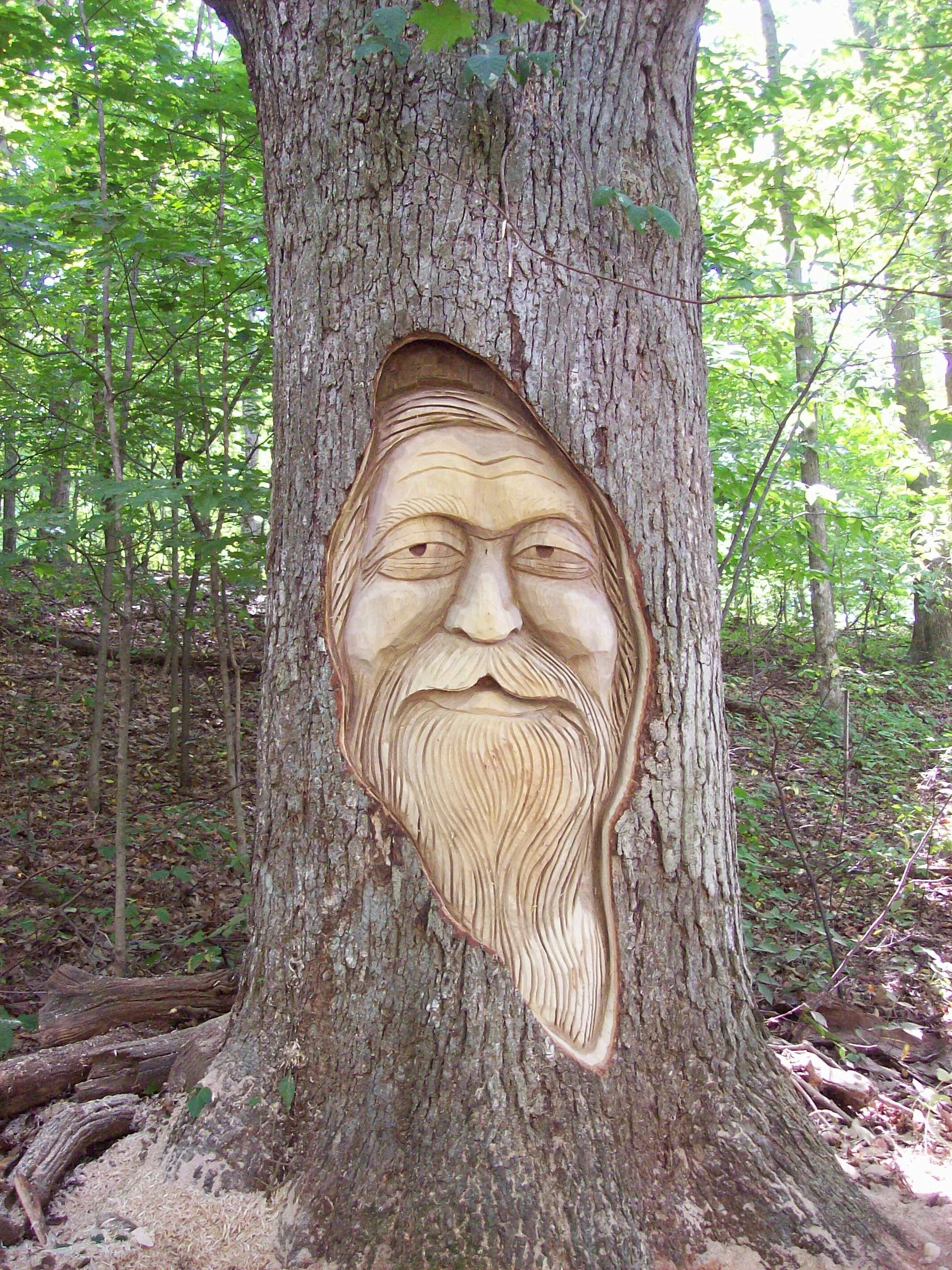 Картинки лицо дерево. Резьба по стволу дерева. Резьба по дереву скульптура Садовая. Лицо из дерева. Дерево с лицом.