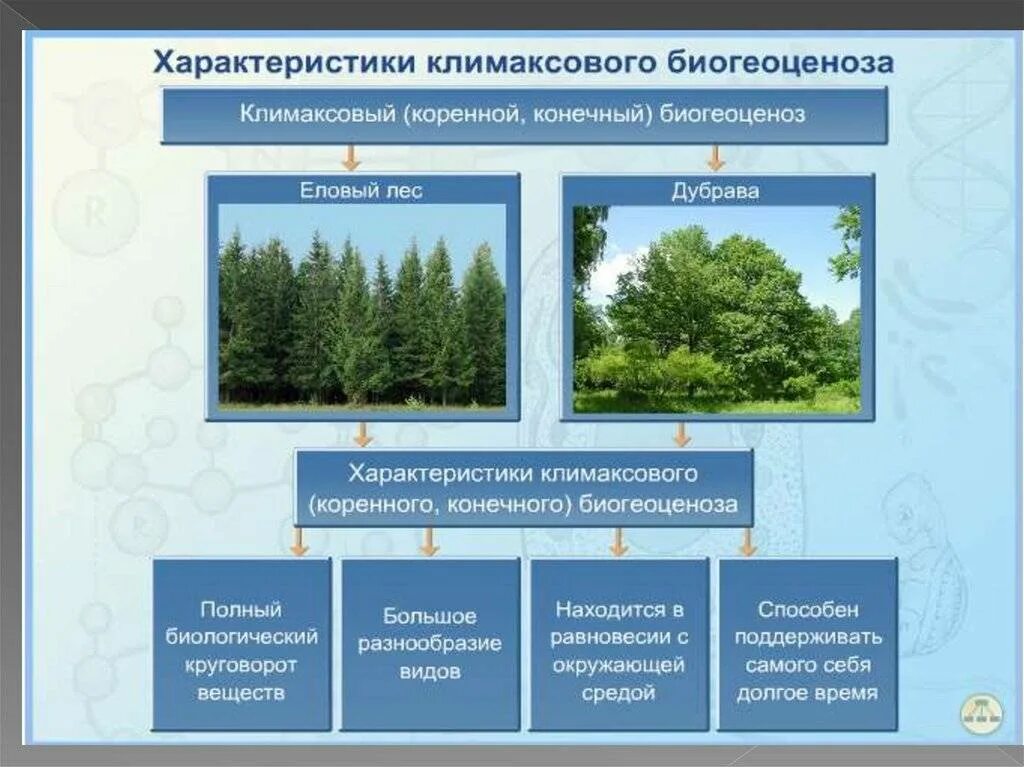 Что является примером естественной смены