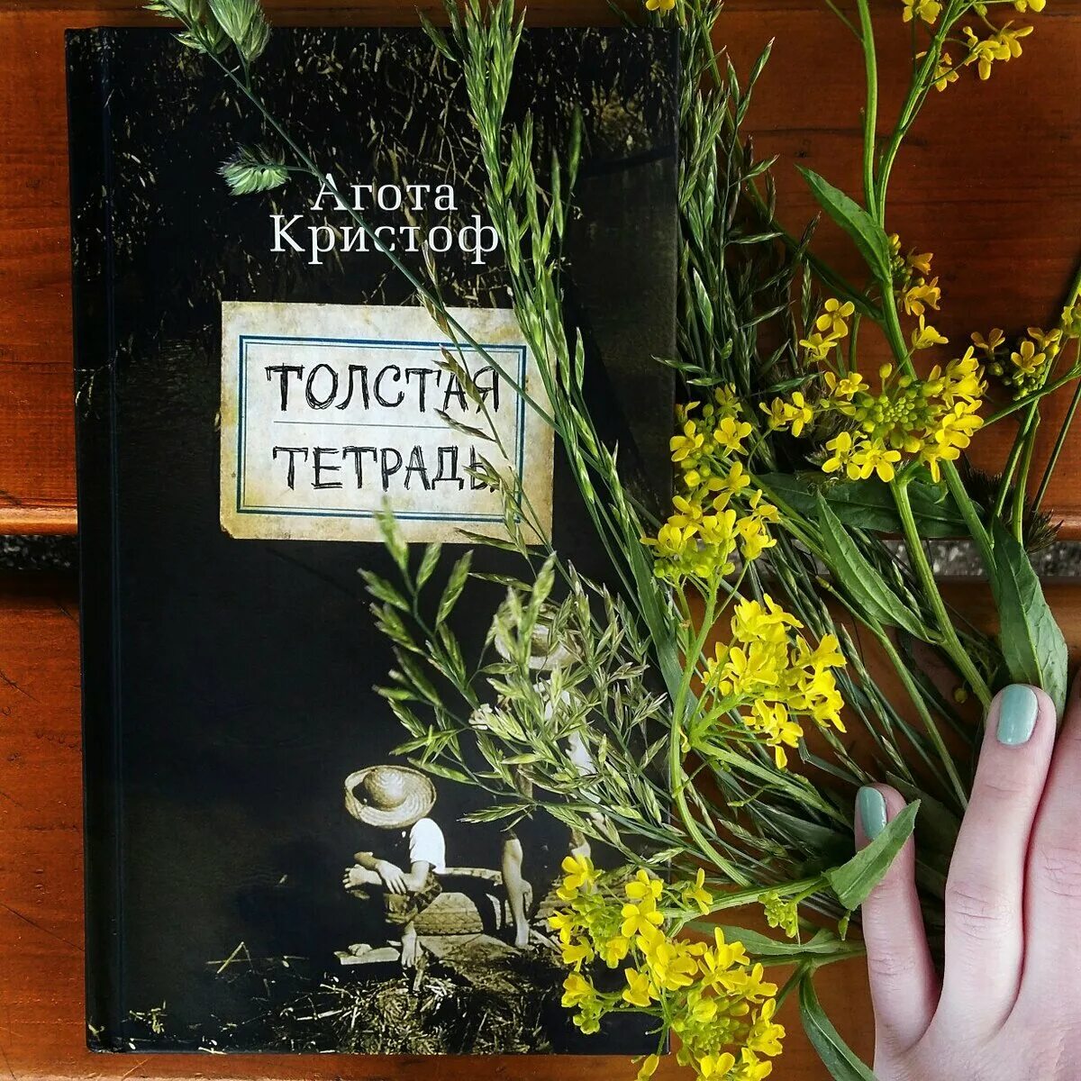 Толстая тетрадь агота. Толстая тетрадь книга. Толстая тетрадь Кристоф тетрадь. Агота Кристоф толстая тетрадь. Толстая тетрадь для правил.