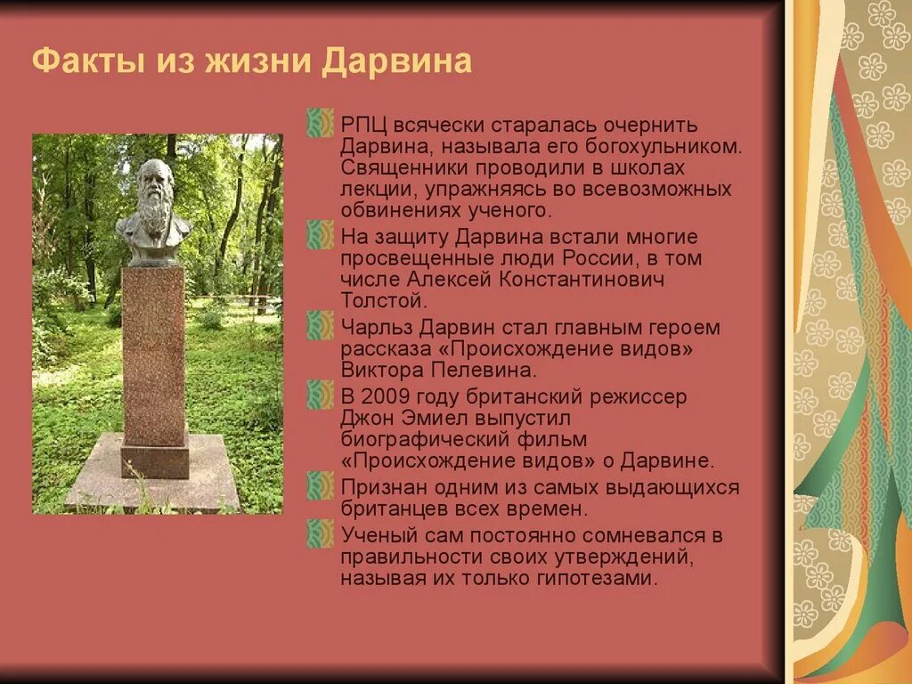 Интересные факты о дарвине. Факты о чарльзе дарвине топ 5 фактов о дарвине. Интересные факты о дарвине. Интересные факты о дарвине. Интересные факты о дарвине.