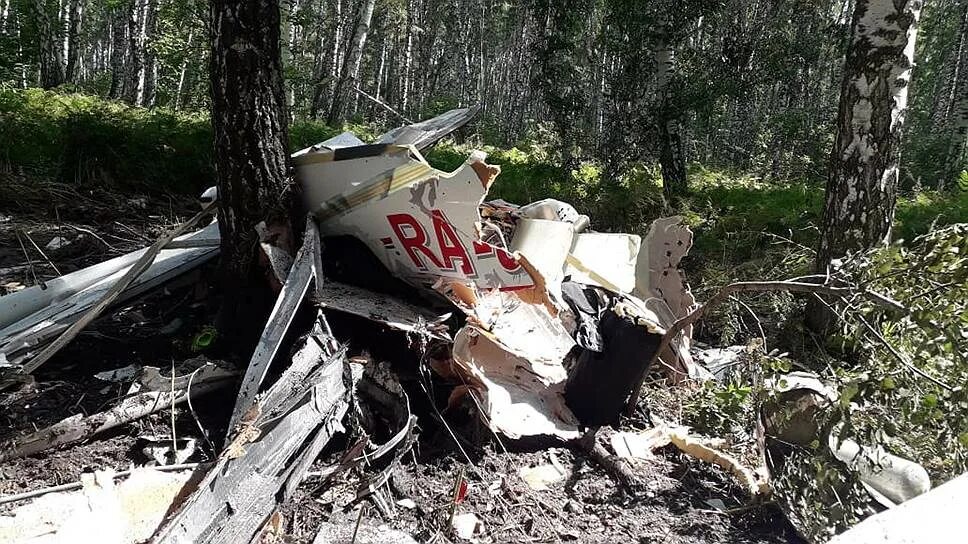 Самолеты найденные в лесах. Нашли упавший самолет. Нашли упавший самолет. Ант-40 обломки. Нашли упавший самолет.