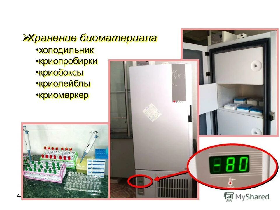 Контейнер для транспортировки биоматериала. Забор биологических материалов для исследований. Хранение биологического материала в холодильнике. Сбор, хранение и транспортировка материала для исследования. Хранение биологического материала для исследования.
