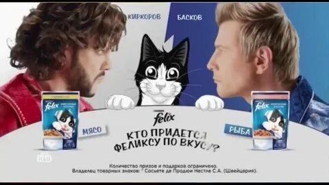 Котик котик киркоров