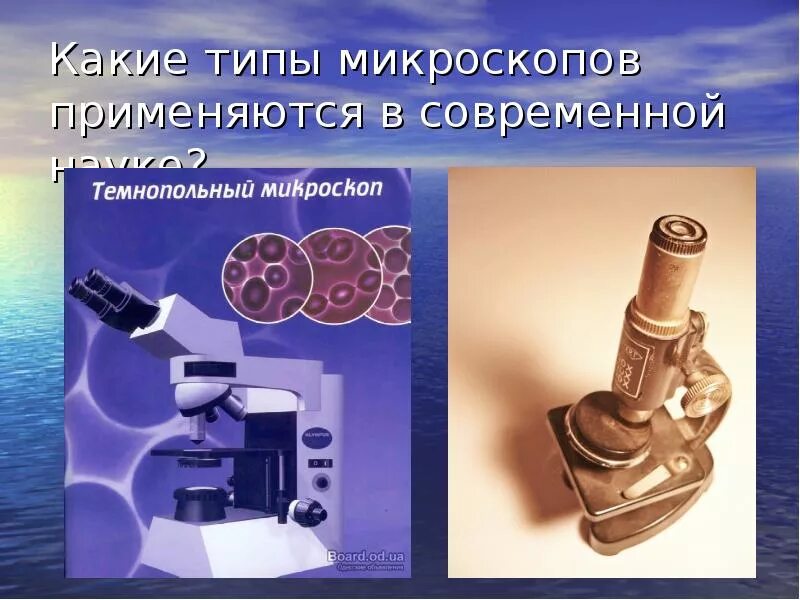 Какие бывают микроскопы виды. Виды микроскопов. типы современных микроскопов. виды микроскопов в биологии.