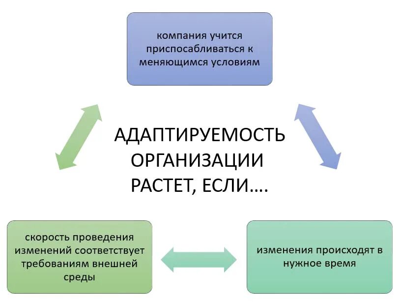 Меняется окружение. Адаптируемость к изменениям. Адаптивность организации. Управление изменениями. Адаптивность личности.